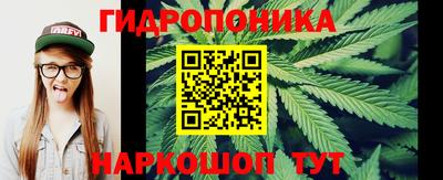 дмт Малгобек